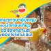 พูดอังกฤษกับนักท่องเทียว
