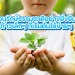 อนุรักษ์ธรรมชาติอย่างยั่งยืน ก้าวเล็กๆ ที่เริ่มได้ง่ายๆ อนุรักษ์ธรรมชาติอย่างยั่งยืน